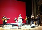 photo - comedie musical Don Quichotte